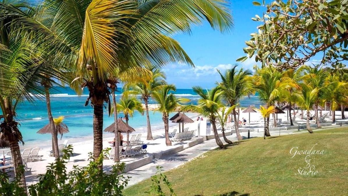 Vue Exclusive Mer Et Volcan, Village Vacances Avec Plage Et Piscine, Les Gwadastudios Sainte-Anne  Exteriör bild