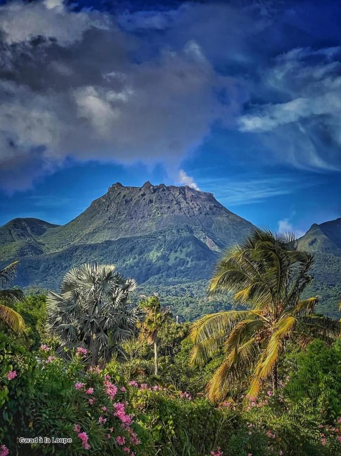 Vue Exclusive Mer Et Volcan, Village Vacances Avec Plage Et Piscine, Les Gwadastudios Sainte-Anne  Exteriör bild