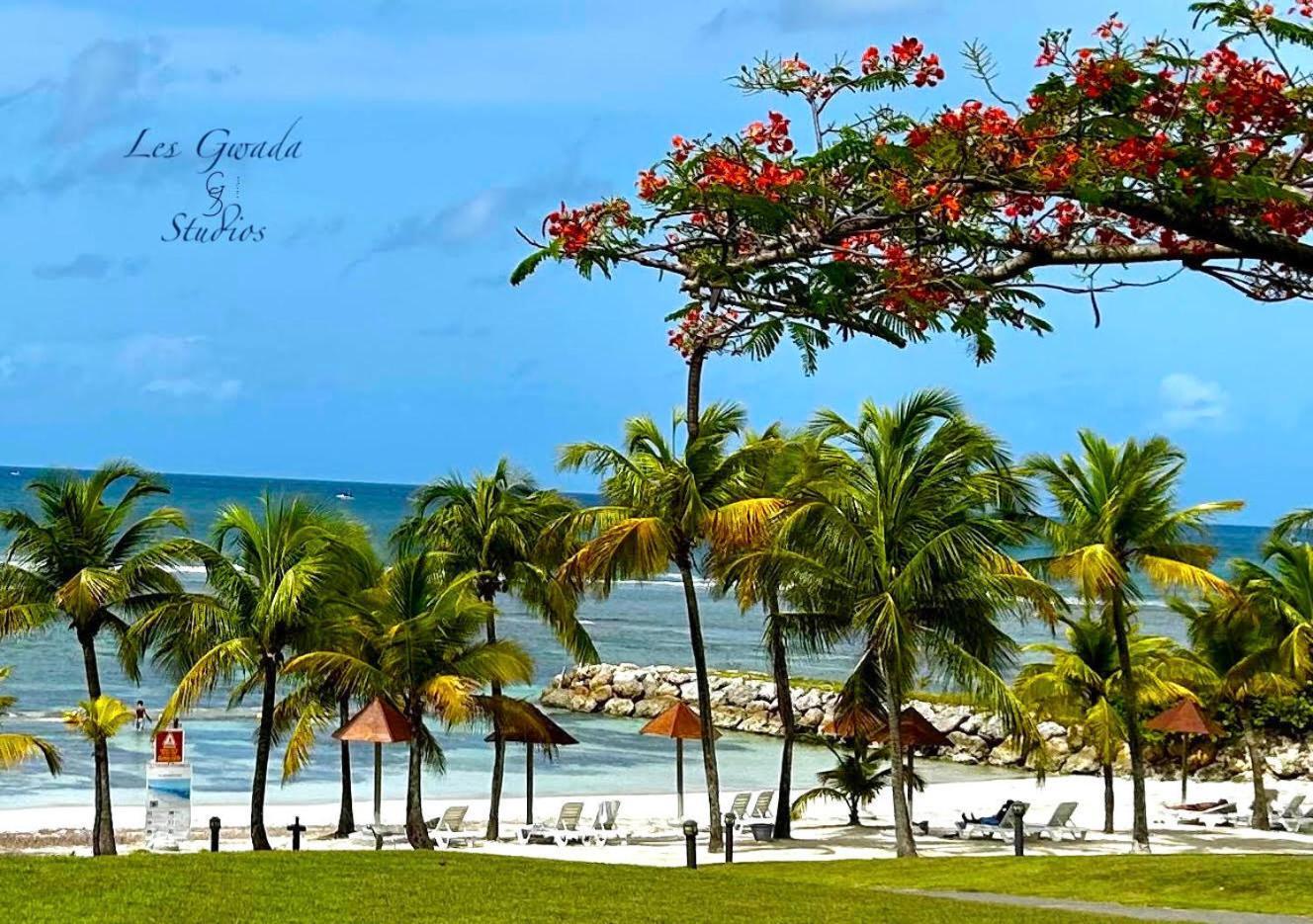 Vue Exclusive Mer Et Volcan, Village Vacances Avec Plage Et Piscine, Les Gwadastudios Sainte-Anne  Exteriör bild