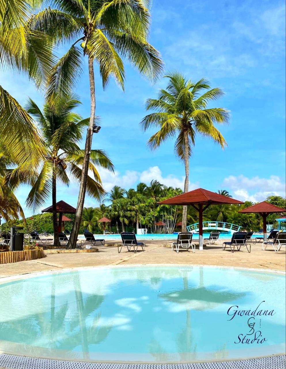 Vue Exclusive Mer Et Volcan, Village Vacances Avec Plage Et Piscine, Les Gwadastudios Sainte-Anne  Exteriör bild