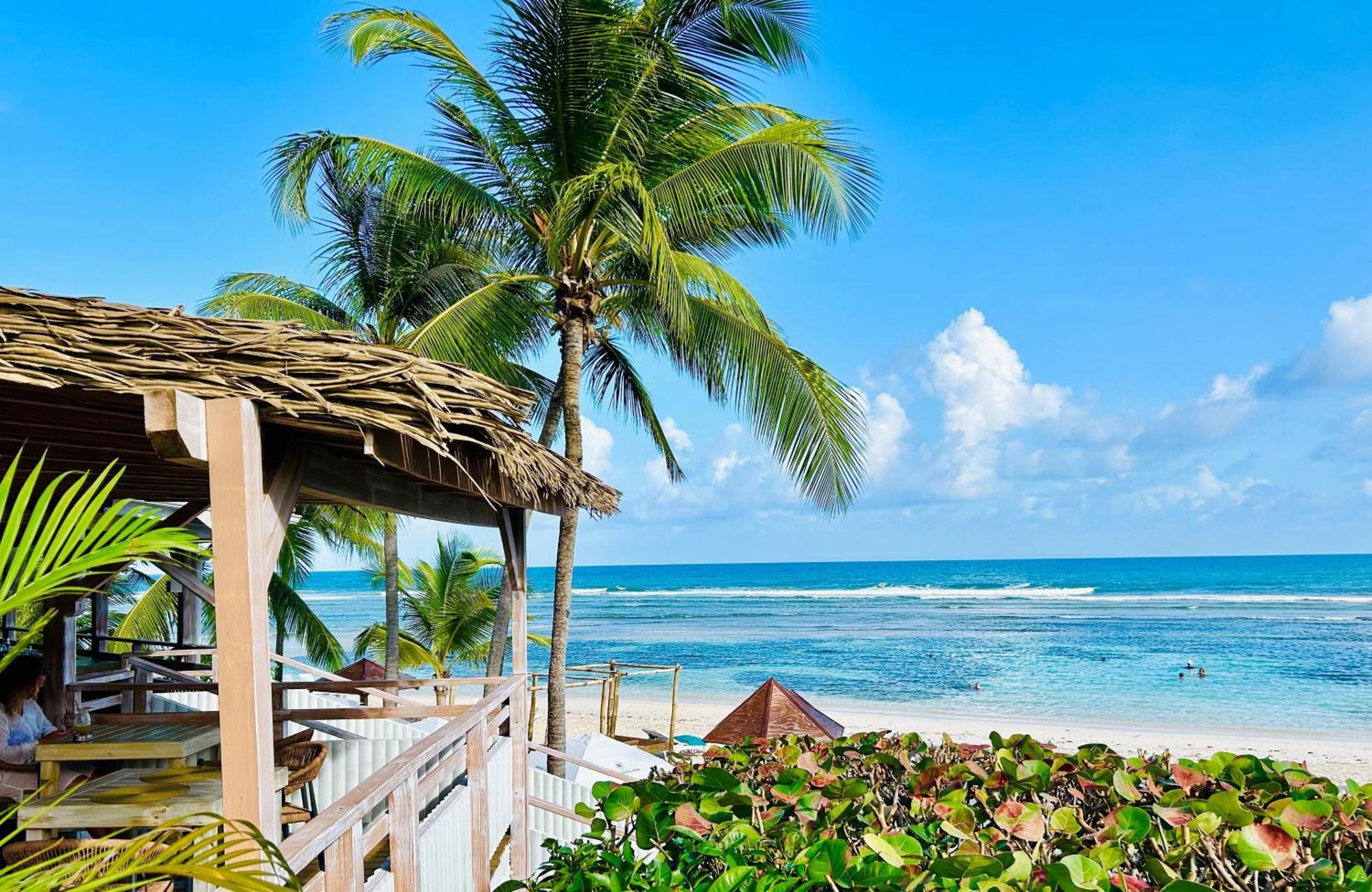 Vue Exclusive Mer Et Volcan, Village Vacances Avec Plage Et Piscine, Les Gwadastudios Sainte-Anne  Exteriör bild