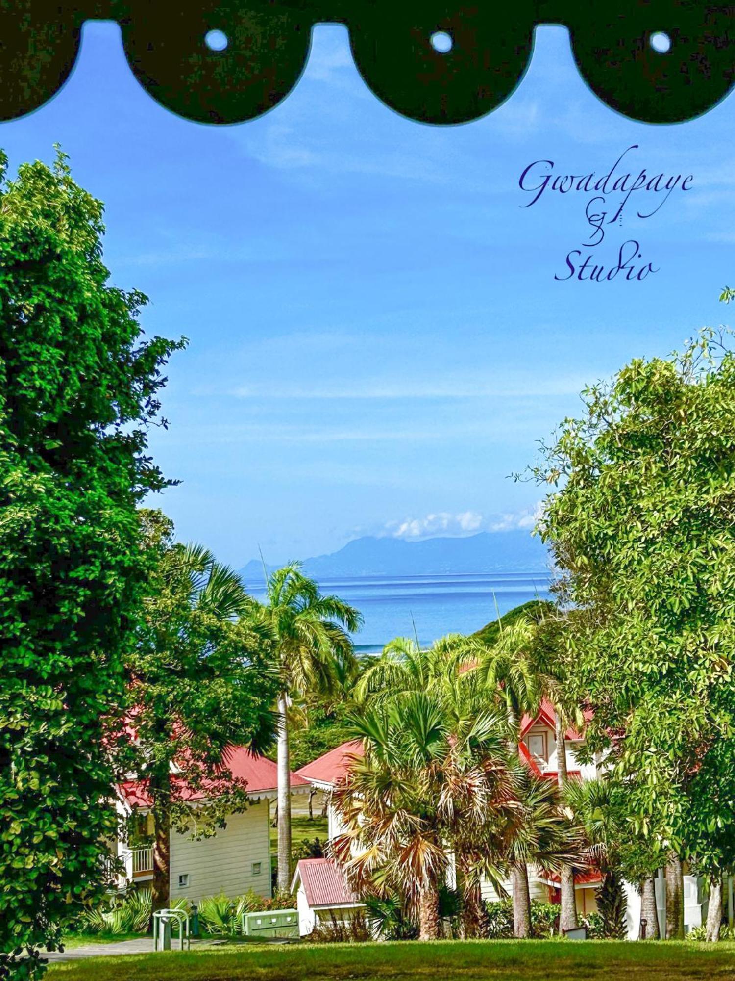 Vue Exclusive Mer Et Volcan, Village Vacances Avec Plage Et Piscine, Les Gwadastudios Sainte-Anne  Exteriör bild